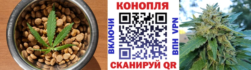Canna-Cookies конопля  omg сайт  Голицыно  магазин продажи наркотиков 