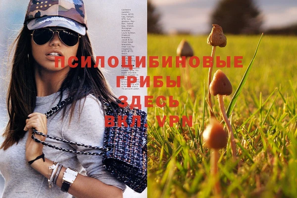 стаф Верхнеуральск