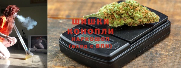 ПСИЛОЦИБИНОВЫЕ ГРИБЫ Верея