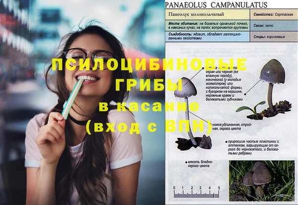 ПСИЛОЦИБИНОВЫЕ ГРИБЫ Верея