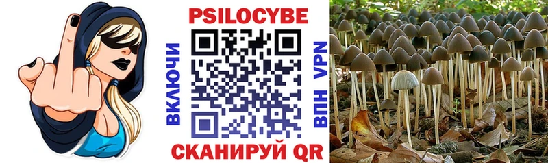 Галлюциногенные грибы прущие грибы  наркошоп  Голицыно 