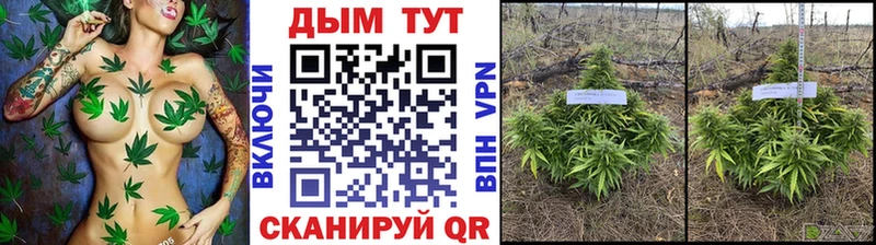 магазин продажи   Голицыно  Марихуана планчик 